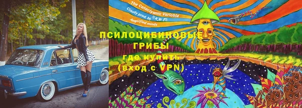 стафф Алексеевка