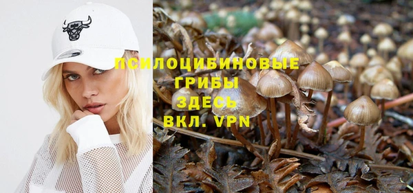 таблы Алексин